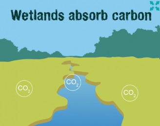 CO2